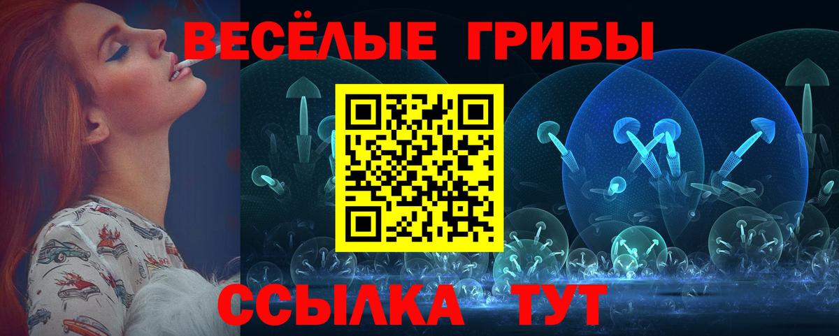 Псилоцибиновые грибы Magic Shrooms  где продают   Брянск  Вход с VPN  Псилоцибиновые грибы ЛСД 