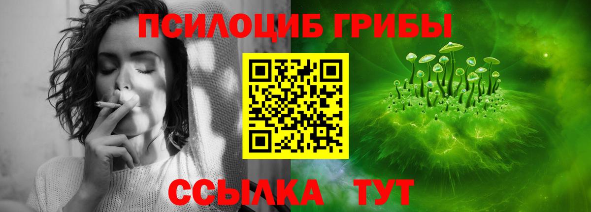 Псилоцибиновые грибы MAGIC MUSHROOMS Брянск
